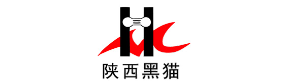 陕西黑猫最新动态，火热资讯一览🔥