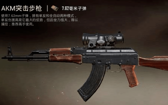 最新式步枪揭秘，小巷深处的神秘武器殿堂