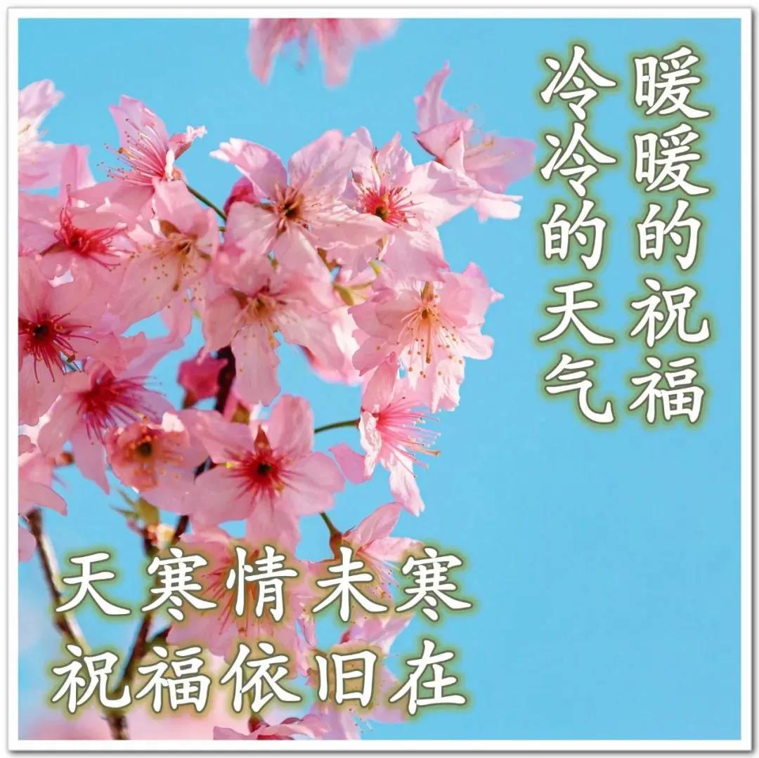 互联网服务 第346页