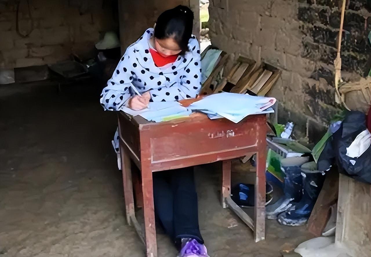 小朋友带蛙上学，萌娃与青蛙的校园冒险之旅