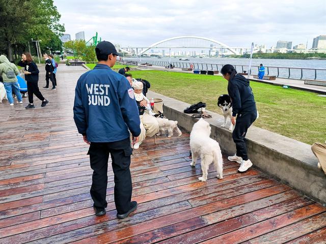 管理方回应上海徐汇滨江异宠日常趣事频发，规范宠物管理成焦点热议话题