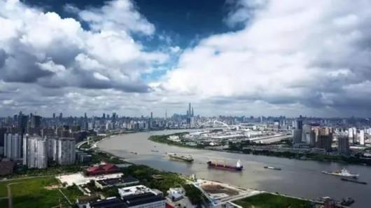 上海徐汇滨江异宠频现，管理方的回应与应对措施及反思