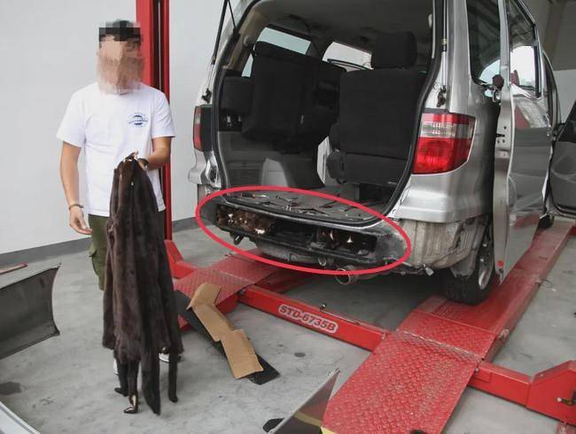 揭秘智能物流新纪元，出口货物夹藏旧中巴车被海关查获事件引发关注