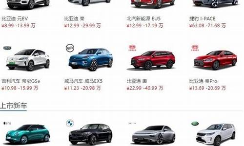 最新电动汽车价格，时代变迁的影响与趋势分析