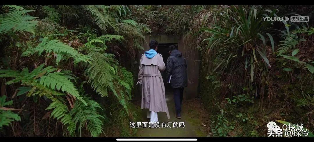 2014最新电影网站,探索自然美景之旅，与2014最新电影网站的奇妙相遇