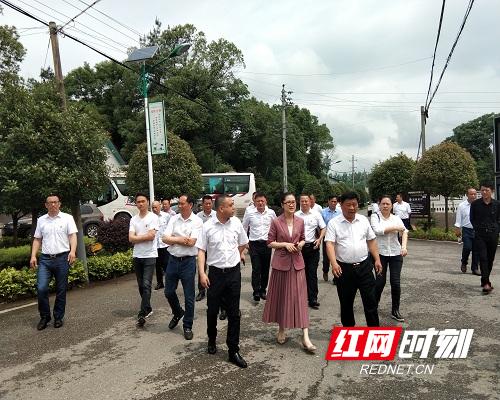 浏阳城区科技招聘，智能未来工作生活的最新岗位信息