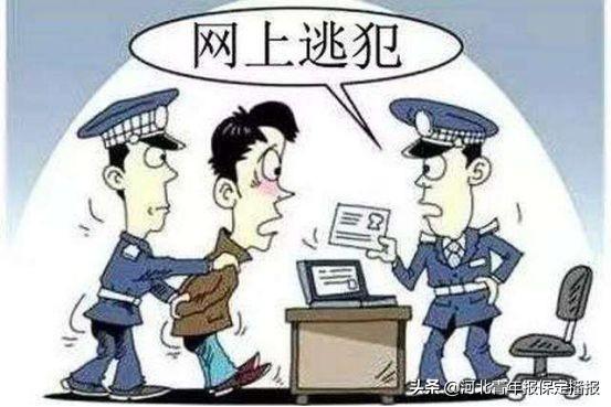 互联网服务 第274页