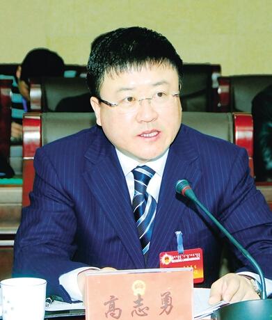 高志勇最新动态及全方位解读其影响与观点分析