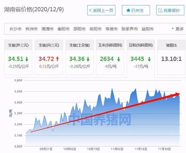 湖南猪价走势揭秘，最新动态与趋势分析📈🐖