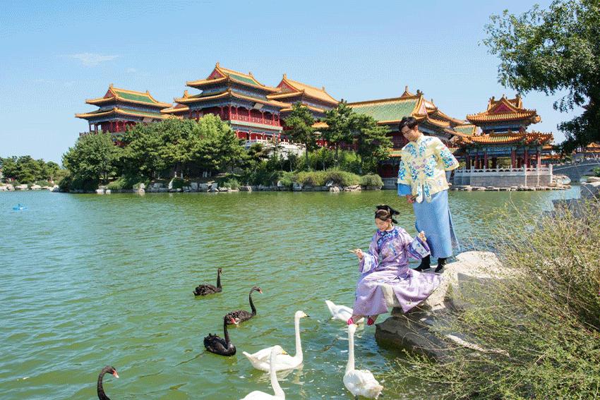 台风天鸥最新动态，逆风翱翔，感受变化的力量