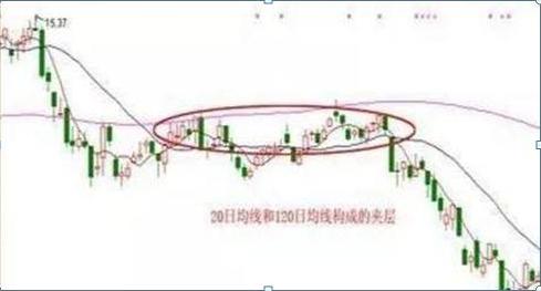立伟网络科技 第251页