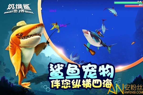 饥饿鲨最新中文破解版,饥饿鲨最新中文破解版，游戏科普与道德边界探讨