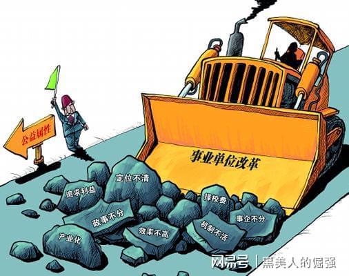 森林公安改革最新消息,森林公安改革的温馨日常故事