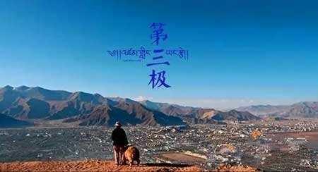 王书金最新动态，探索自然美景之旅，寻求内心平和与宁静的旅程
