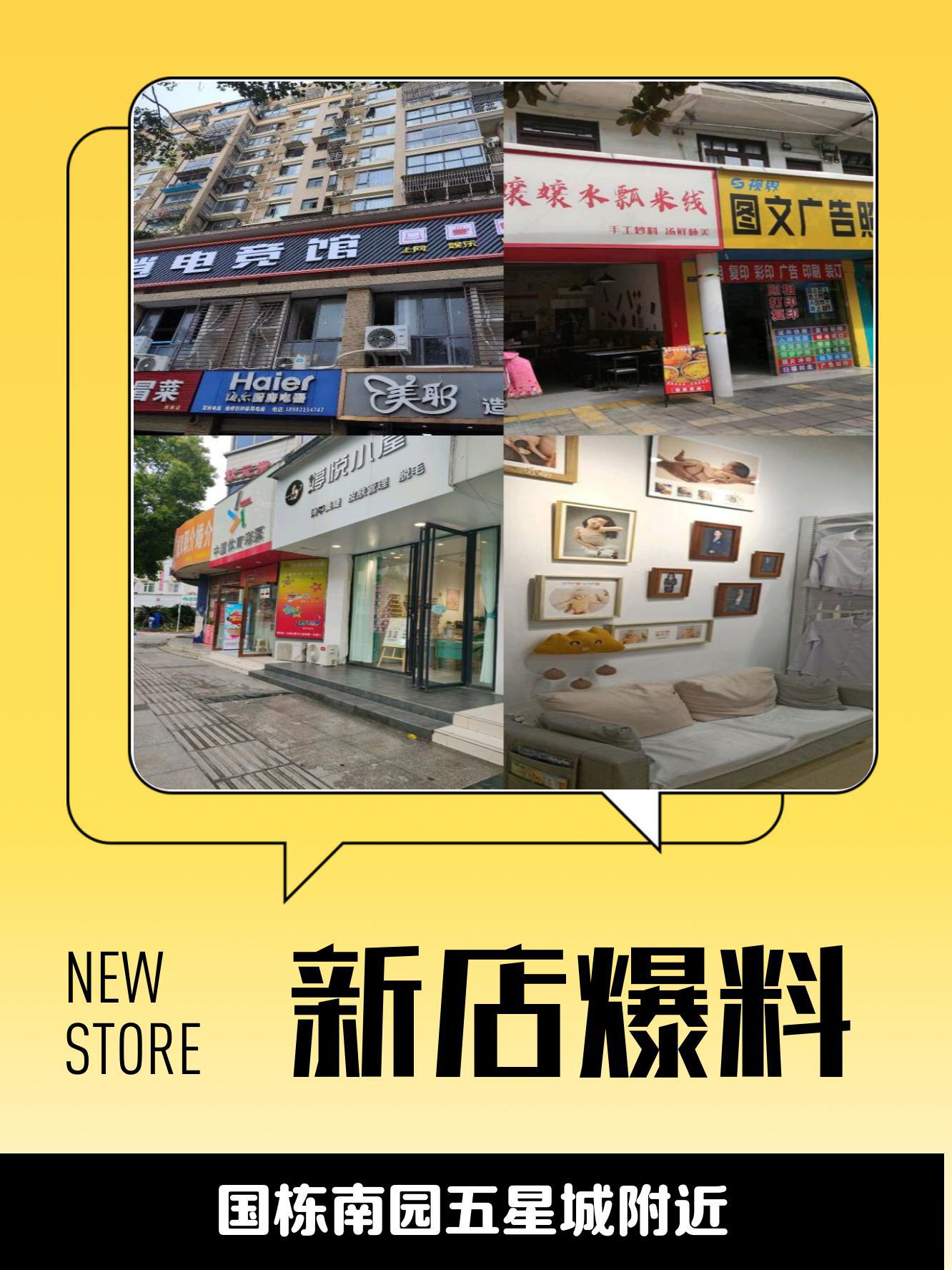 中亿国星最新动态，小巷中的隐藏宝藏揭秘！