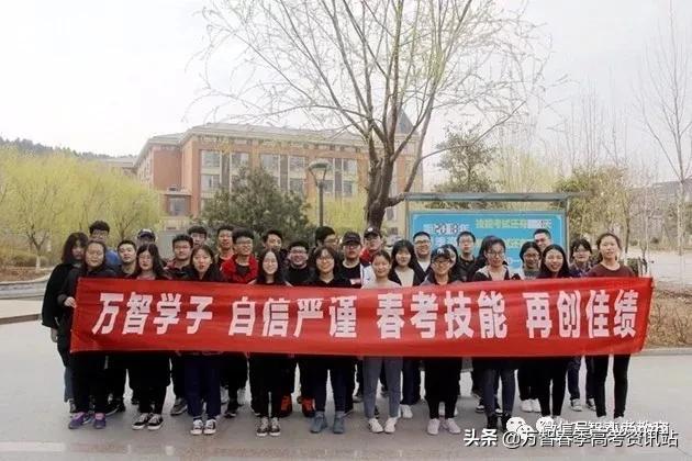 山东春季高考最新动态及备考指南全解析