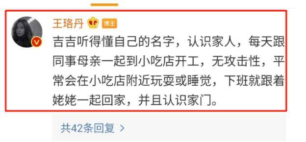 济南威伯科最新招聘启事，探索自然美景之旅，寻找内心平和的伙伴