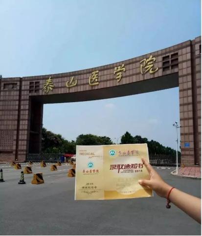 国际医学最新动态与公告摘要