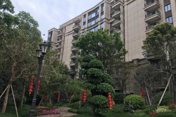 上林一品最新房价揭秘，巷弄深处的独特风景