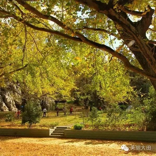 权力巅峰最新章节与小巷深处的阅读之旅