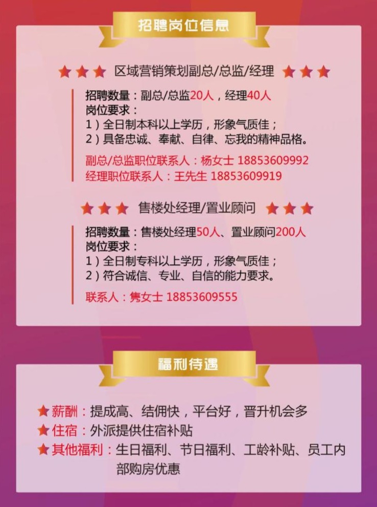 汤原最新招聘启航，科技引领未来，开启全新招聘之旅