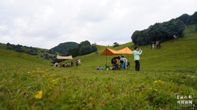 最新GAV地址，自然美景探索之旅，寻觅内心平和与宁静的奇妙之旅