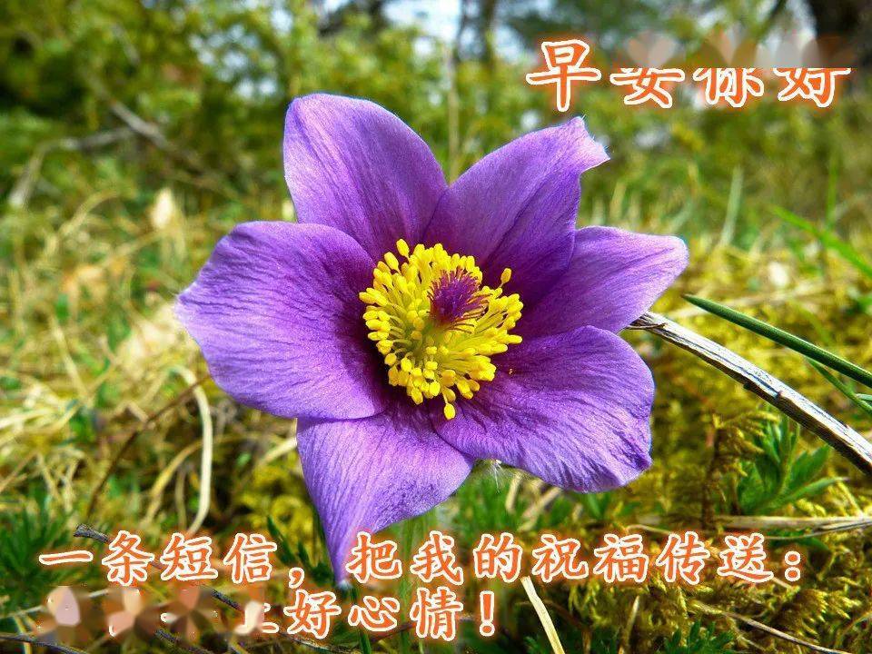 最新清晨祝福短信集锦