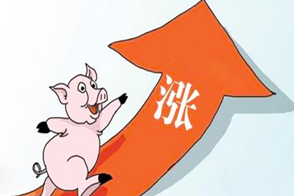 武汉汽油最新价格解析及实时关注动态