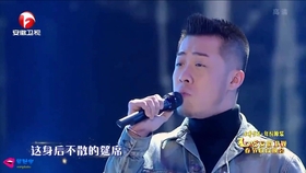 大壮最新歌曲，音乐风潮中的观点碰撞与个人立场