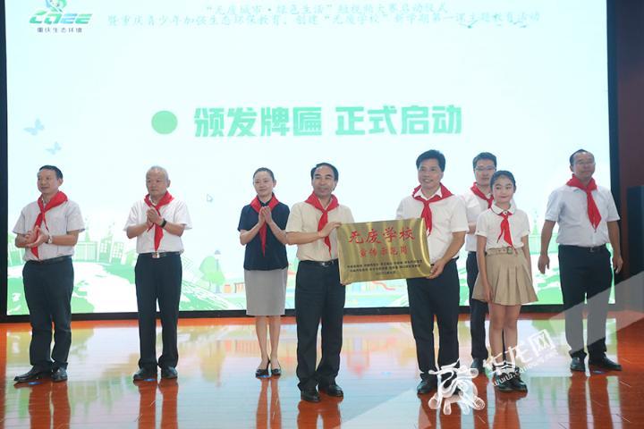 最新废材视频，深度解读流行文化背后的现象与启示