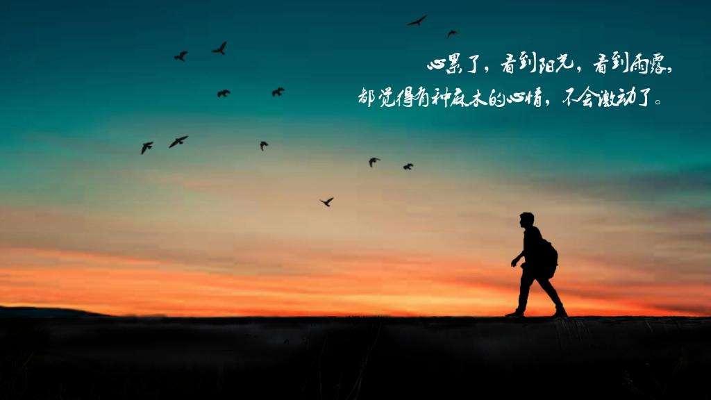 计算机网络技术培训 第236页