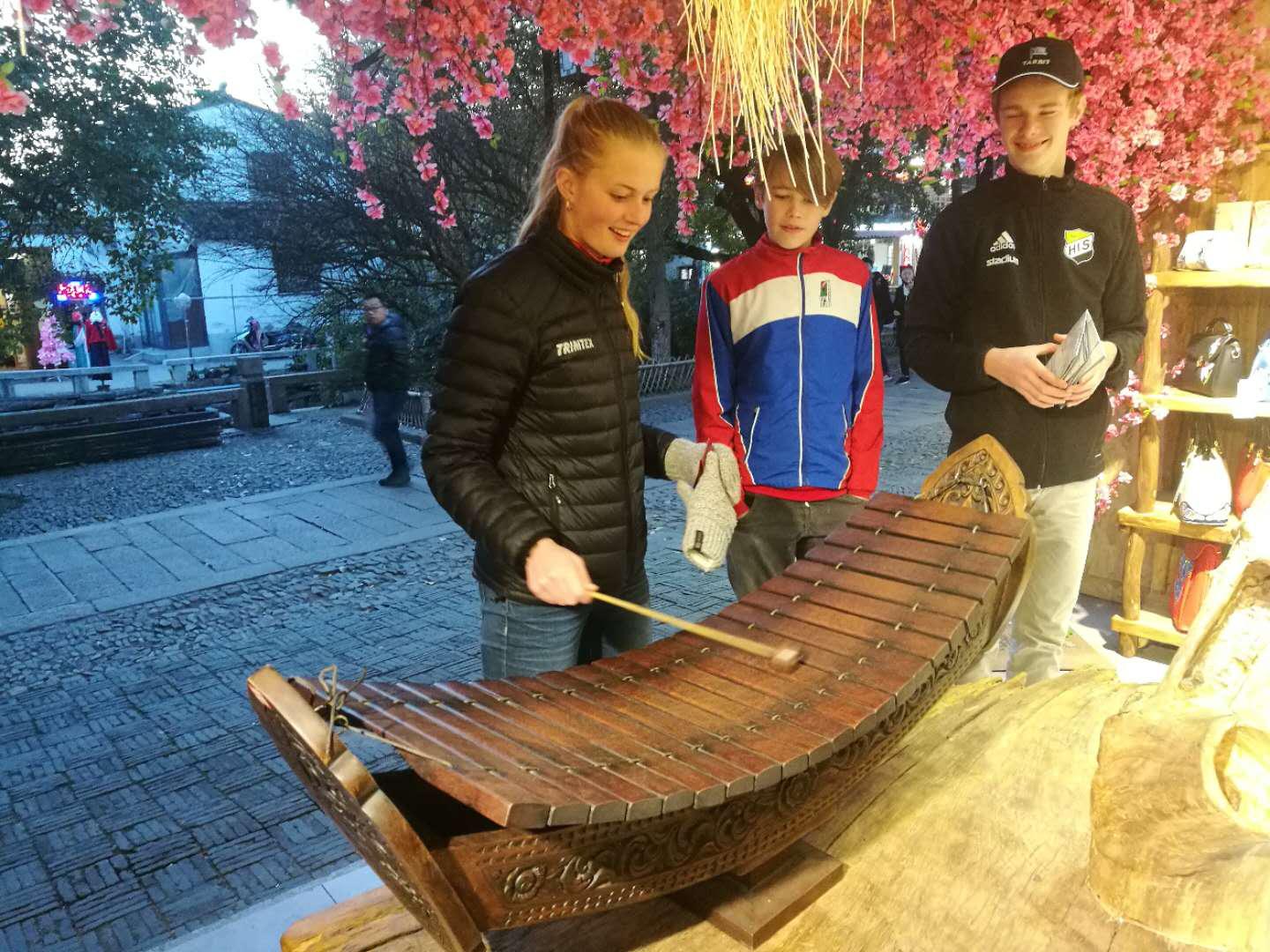 宜兴最新房源探秘，小巷深处的独特房源发现