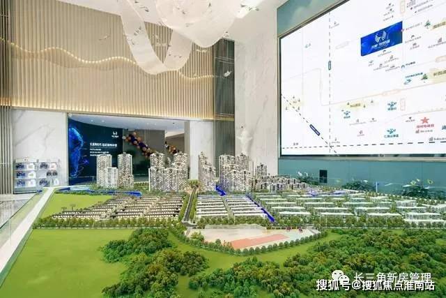 草龟最新价格及市场走势深度解析，影响因素全解析