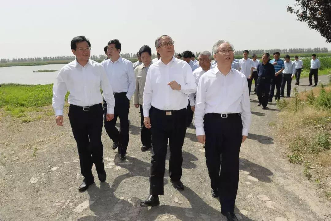天津新公园亮相，城市绿肺开启新篇章