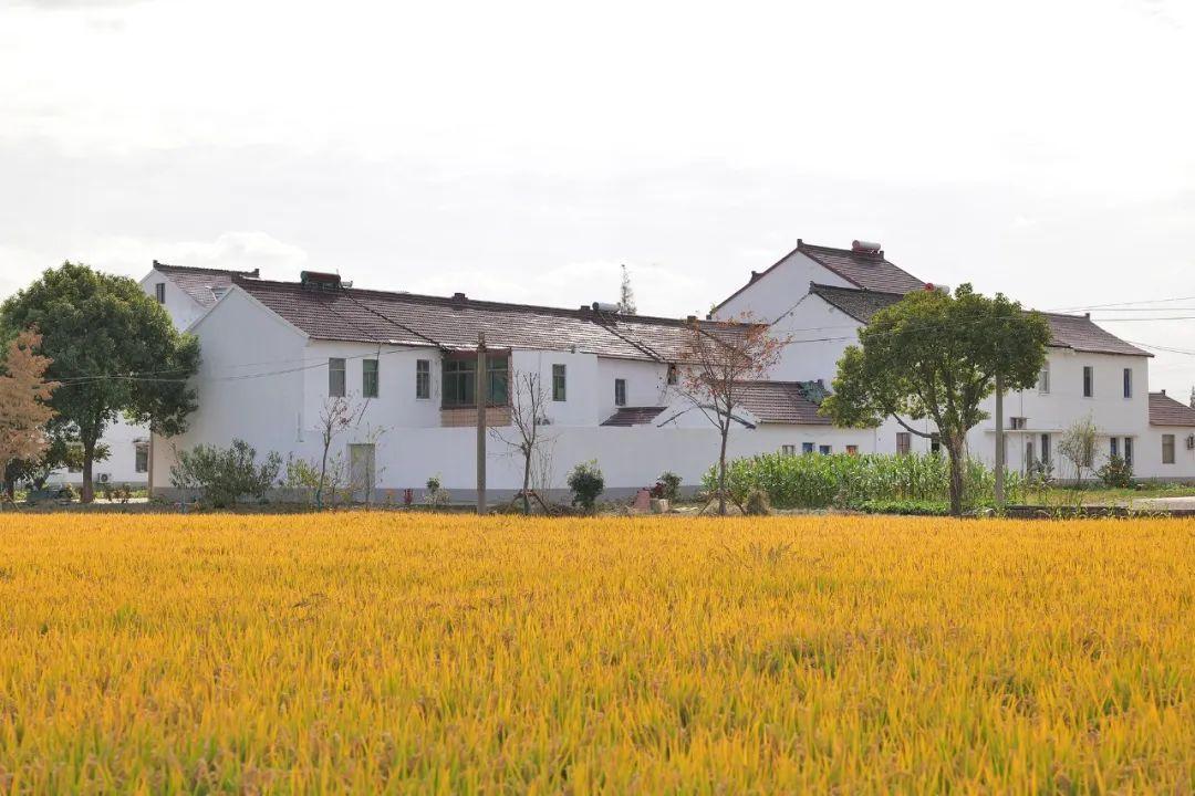 丰南最新房价，科技重塑居住梦想，开启未来生活新篇章