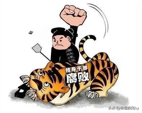 中国打击老虎的最新进展与未来展望，持续深入的消息披露