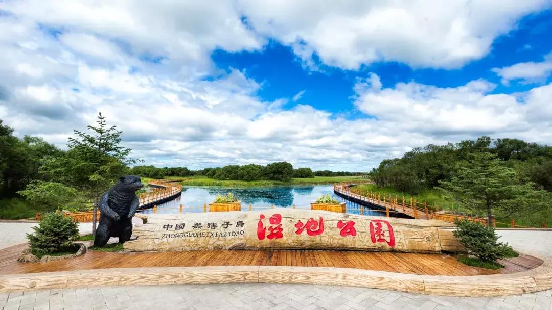 最新熊出没2017，科技森林中的璀璨明珠，引领未来生活魅力之旅