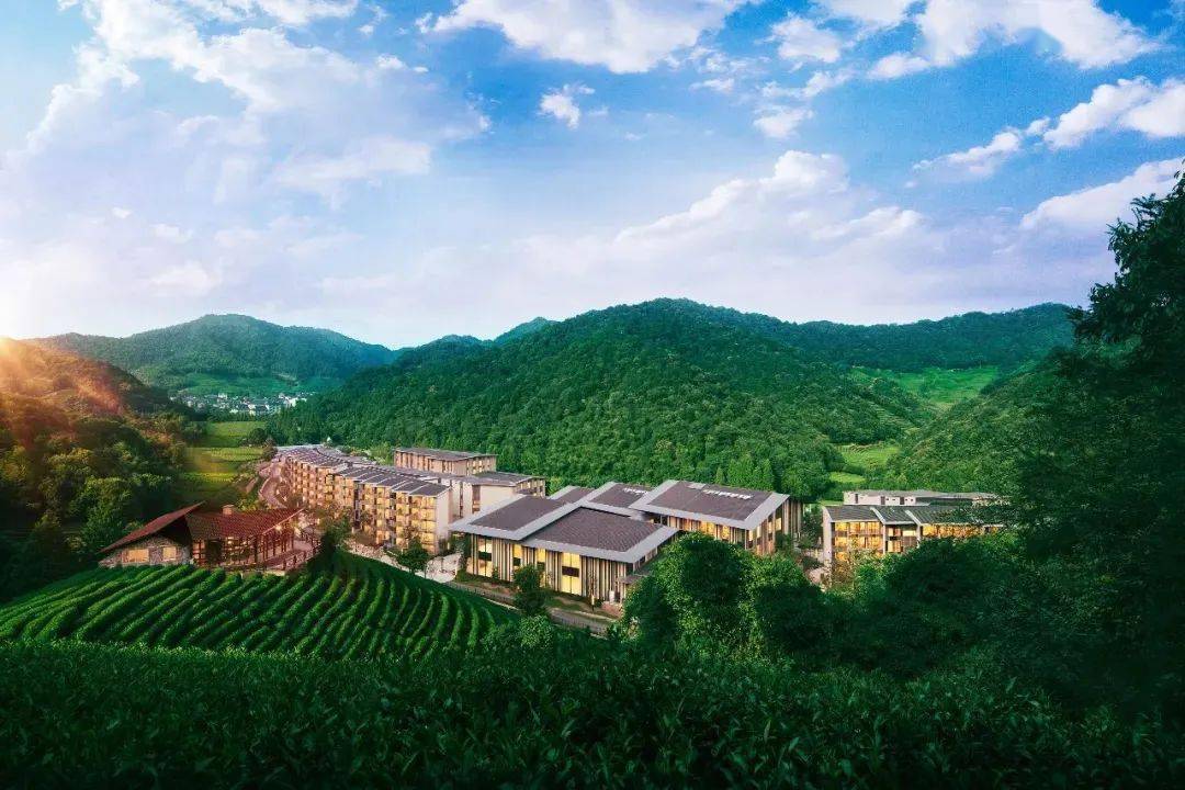 陶隐社区最新,陶隐社区最新，探索自然美景的轻松之旅，寻找内心的宁静与平和