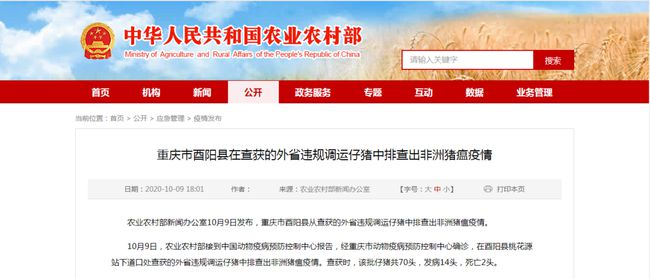 酉阳最新新闻，获取与阅读步骤指南