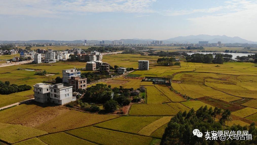 平南最新航拍，小巷中的意外发现与惊喜探索