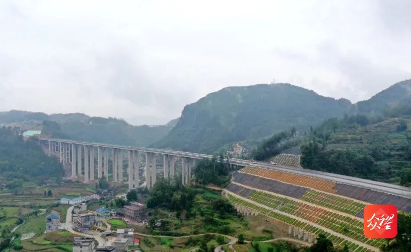 思南最新工程步骤指南及项目概览
