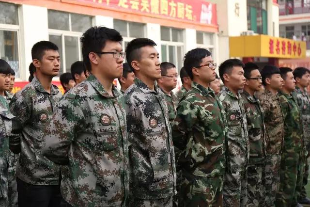 关于军训的最新视频，深度解读与观点阐述