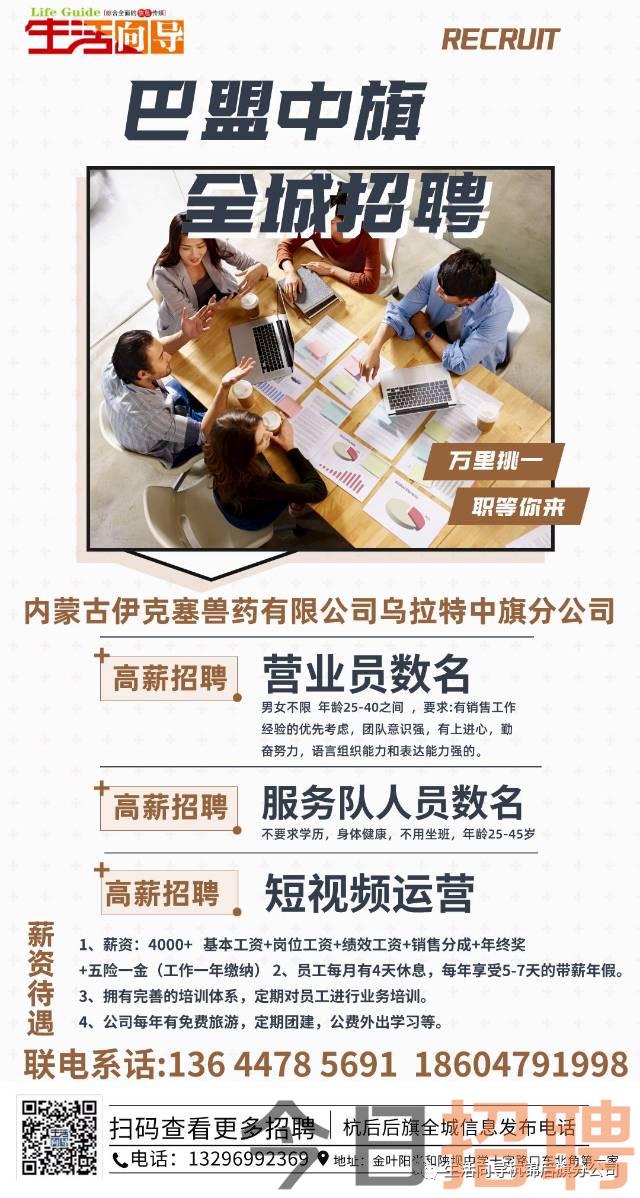 巴马最新招聘，友情的温暖与工作的奇遇之旅