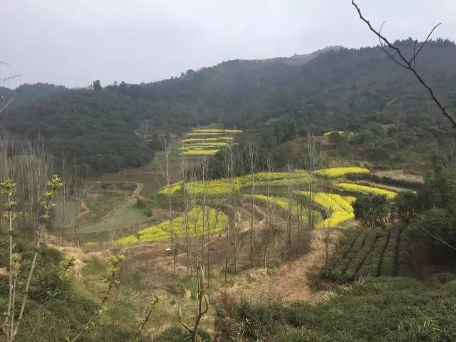 新县最新招工，自然美景探索之旅，寻找内心平静的工作之旅