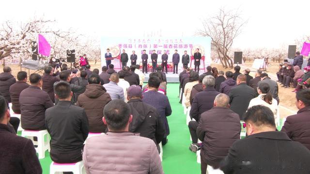 枣强最新新闻，小城趣事与情感纽带揭秘
