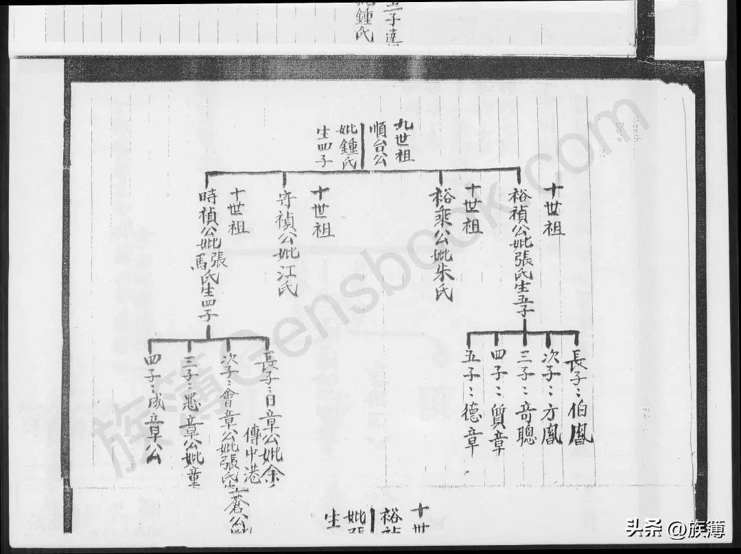 赖氏最新动态，追溯历史，展望未来发展之路