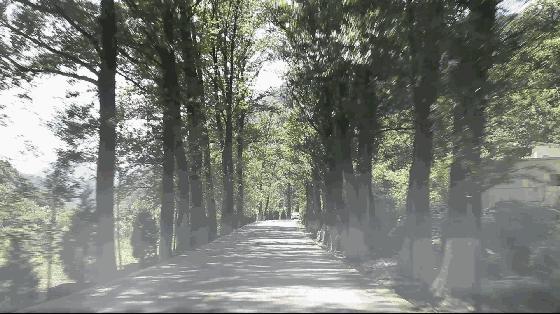 宝鸡最新钓鱼胜地探索，追寻成就感的钓鱼旅程