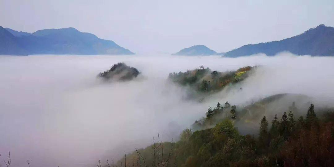 计算机网络技术培训 第201页