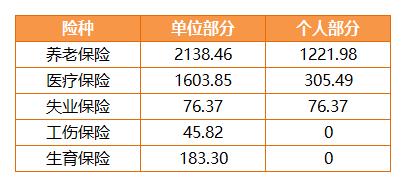 最新社保缴费比例变化，学习成长与自信成就感的源泉