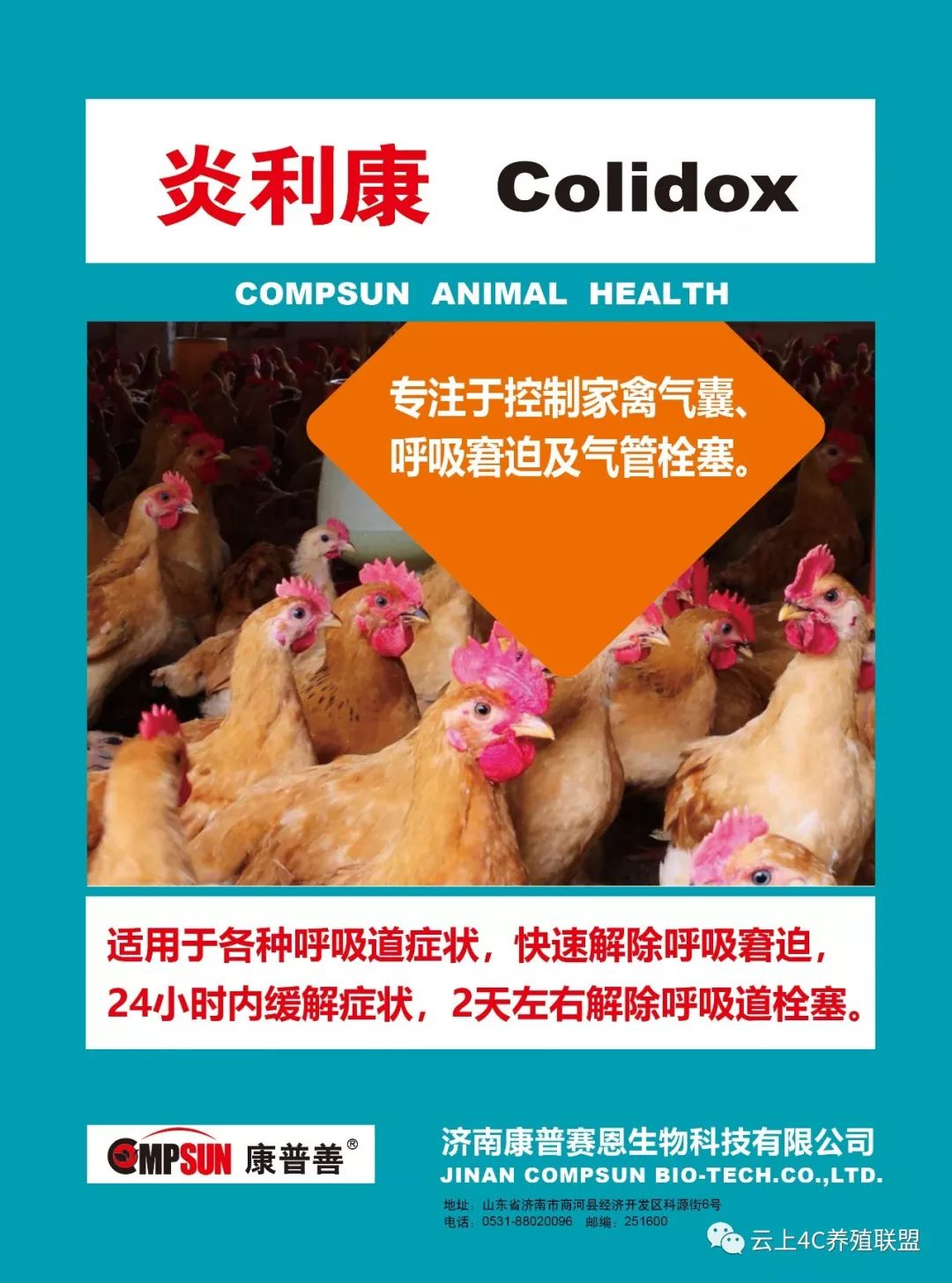 最新麻鸡价格及分析概况